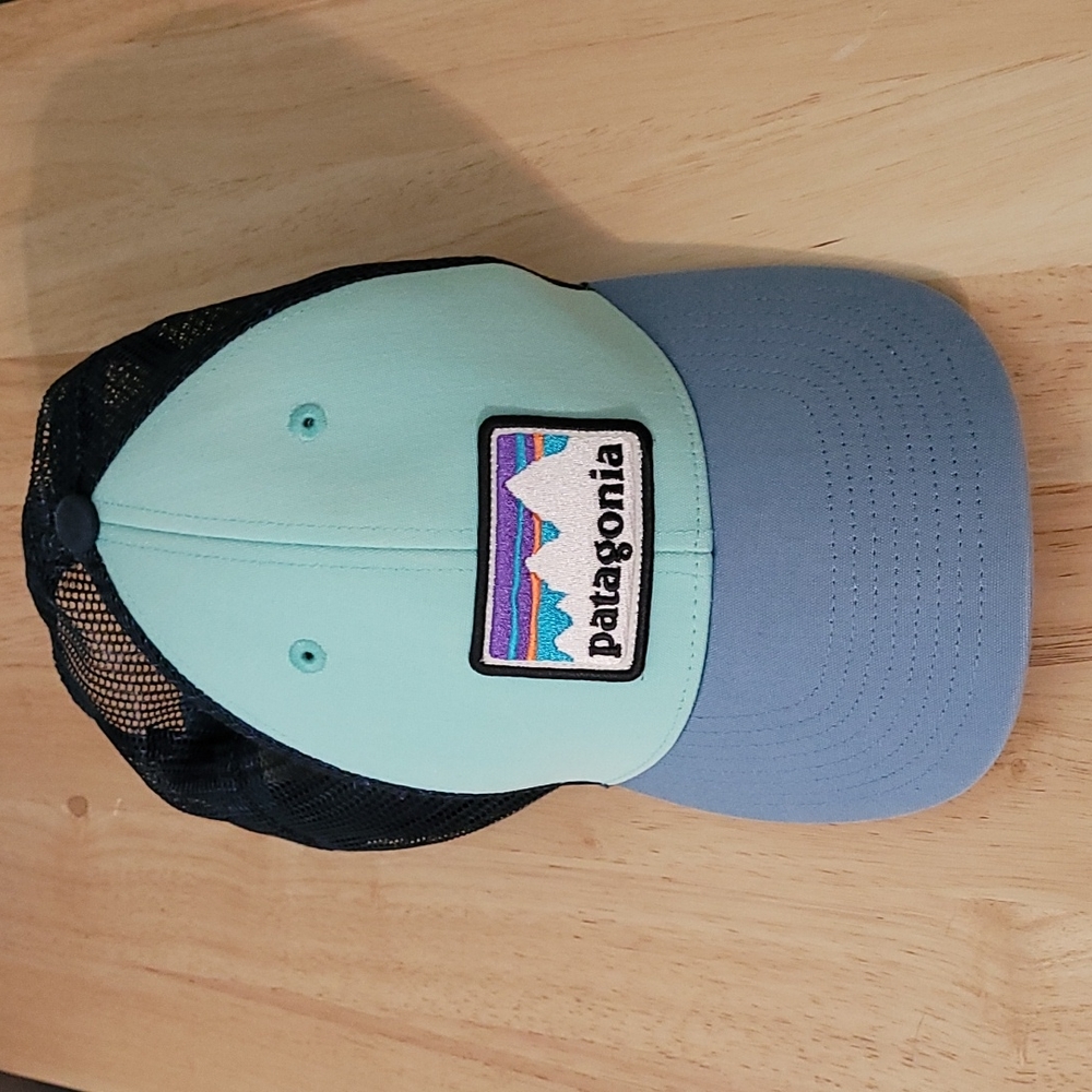 Patagonia Trucker Hat